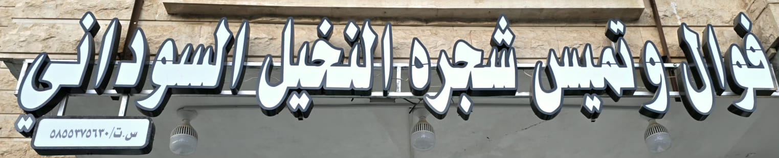 فوال وتميس شجره النخيل السوداني