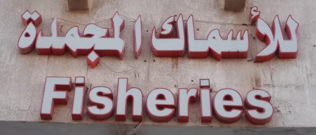 للأسماك المجمدة