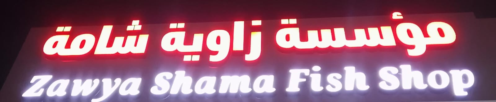 مؤسسة زاوية شامة