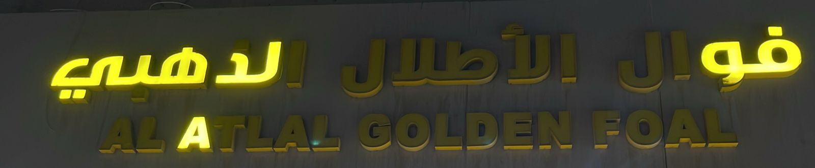 فوال الأطلال الذهبي
