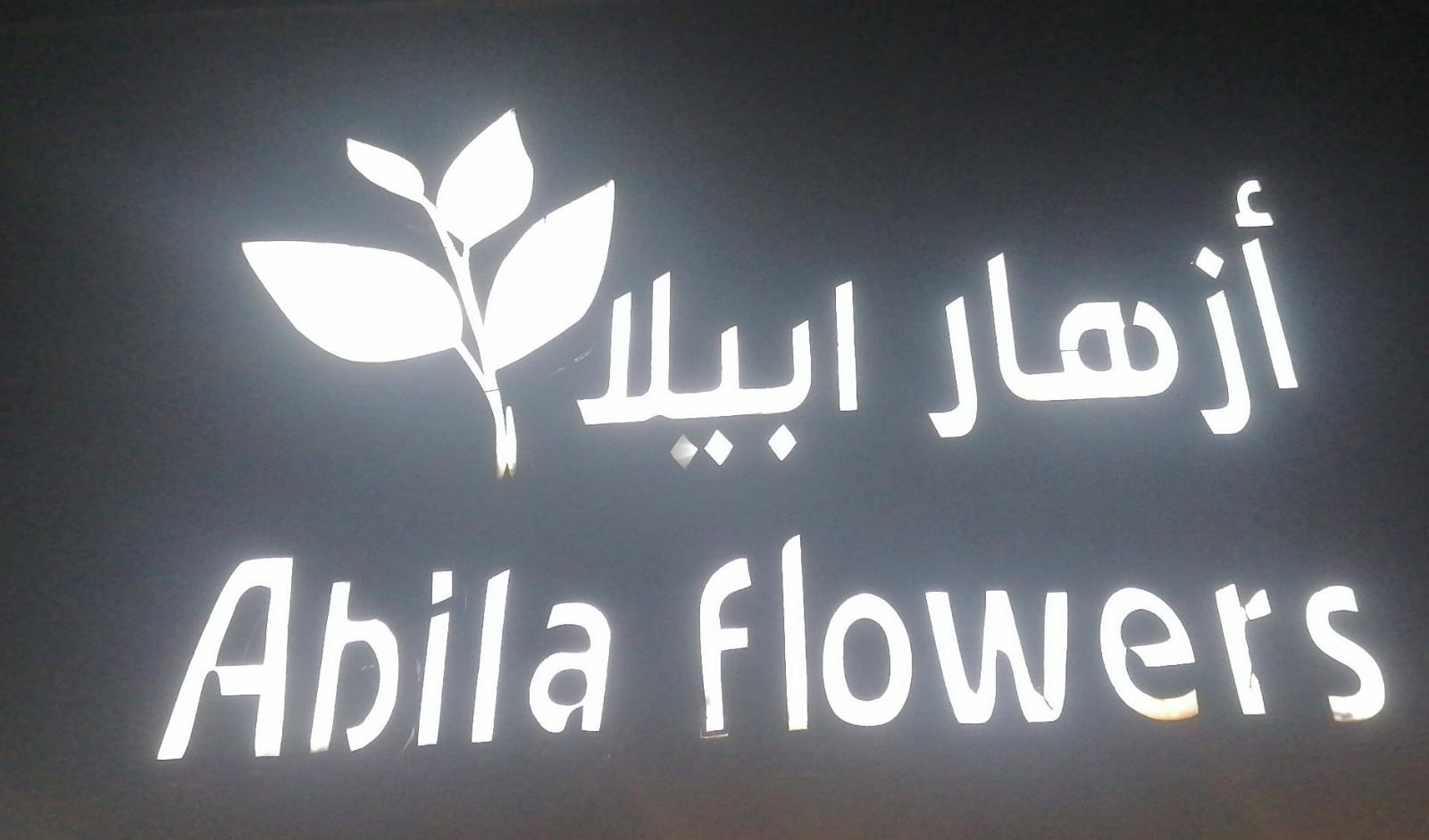 أزهار ابيلا