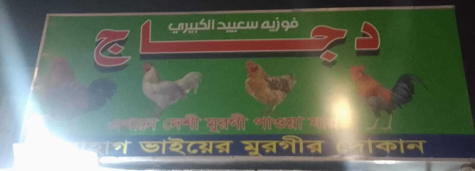 دجاج فوزيه سعييد الكبيري