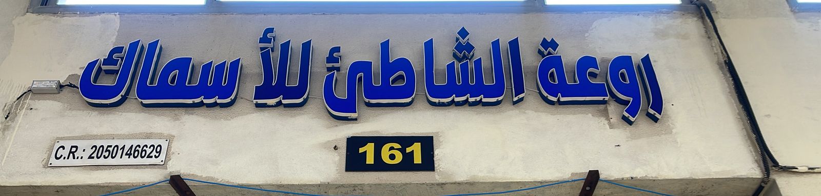 روعة الشاطئ للأسماك