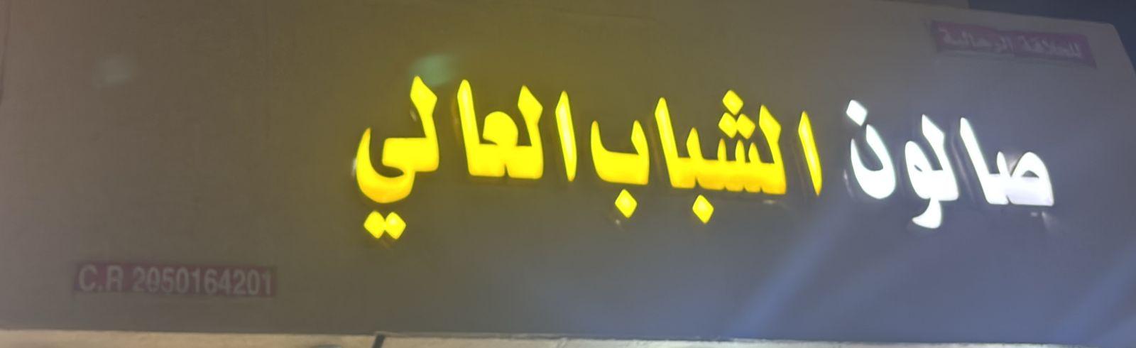 صالون الشباب العالي