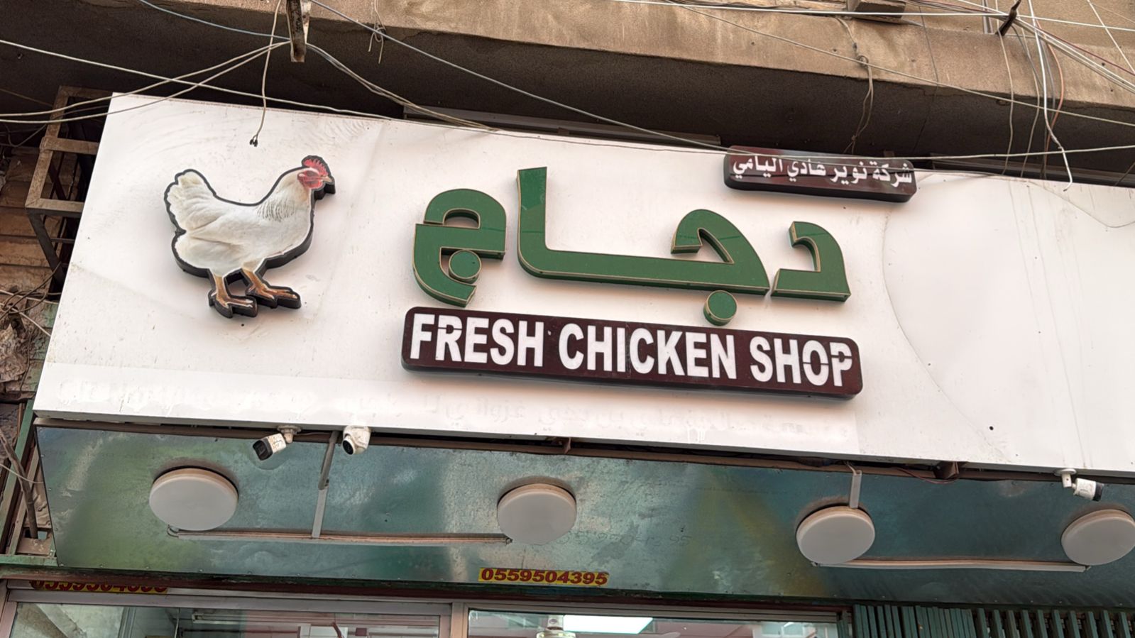 دجاج شركة نوير هادي اليامي