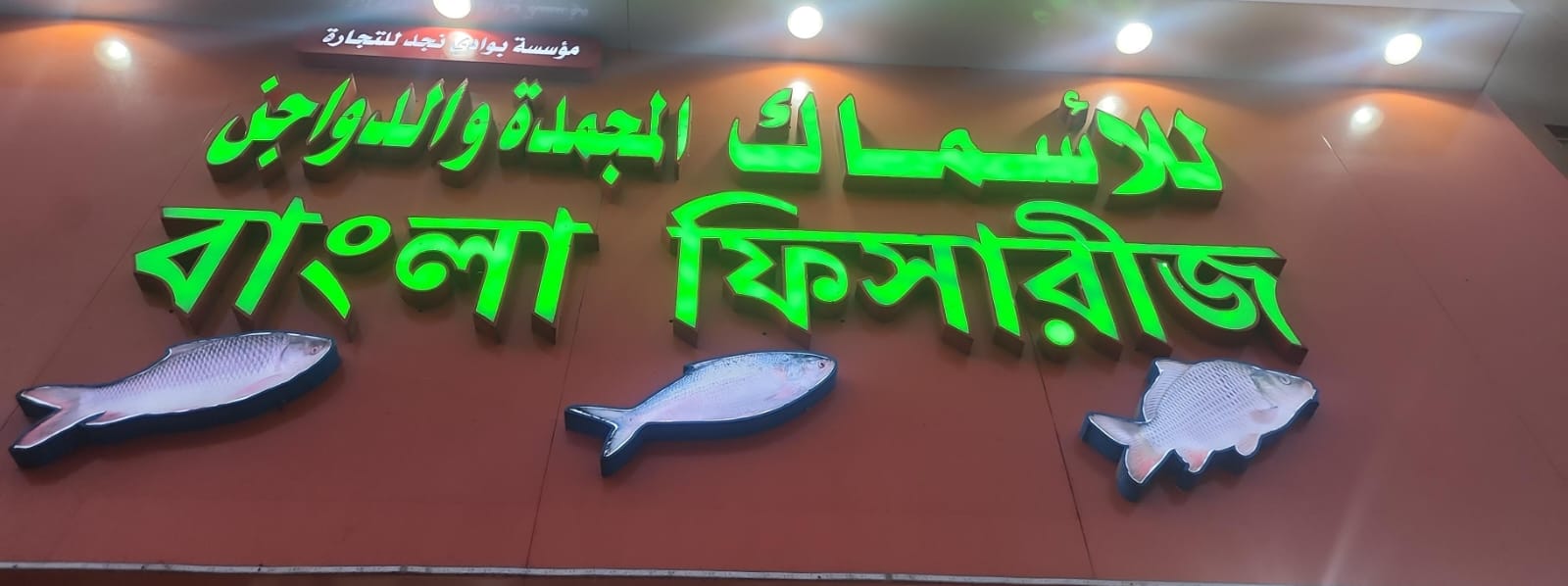 مؤسسة بوادي نجد للتجارة للأسماك المجمدة والدواجن