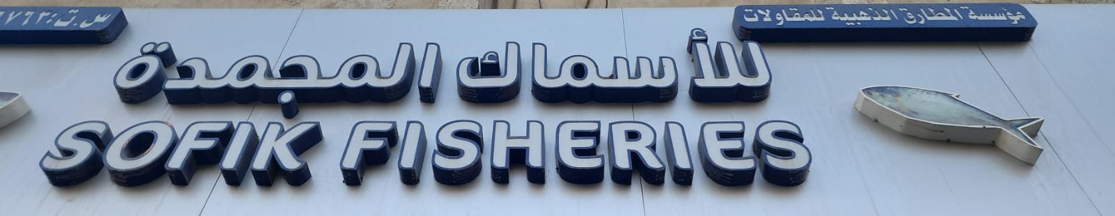 مؤسسة المطارق الذهبية للمقاولات للأسماك المجمدة