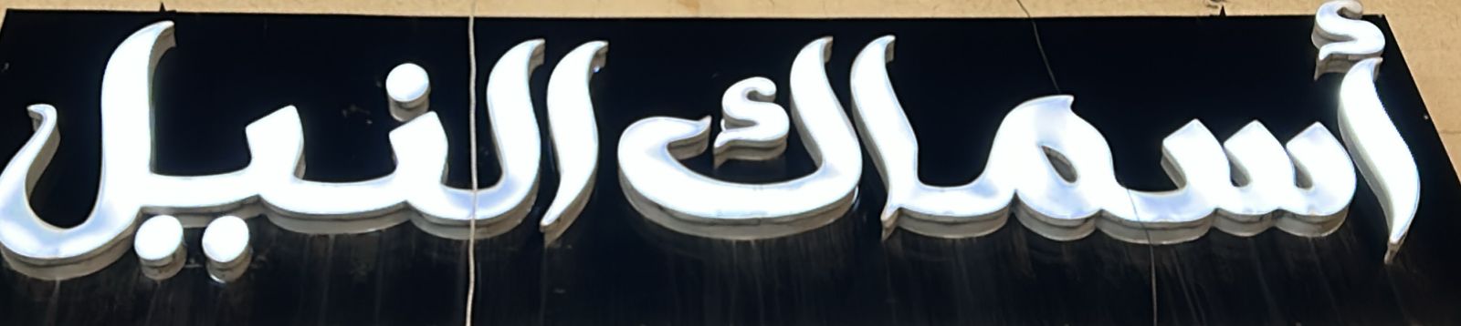 أسماك النيل