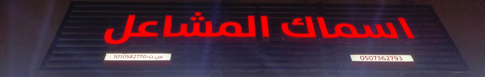 اسماك المشاعل