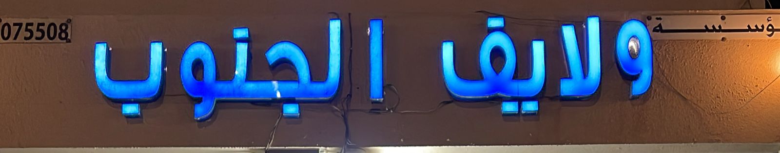 مؤسسة ولايف الجنوب