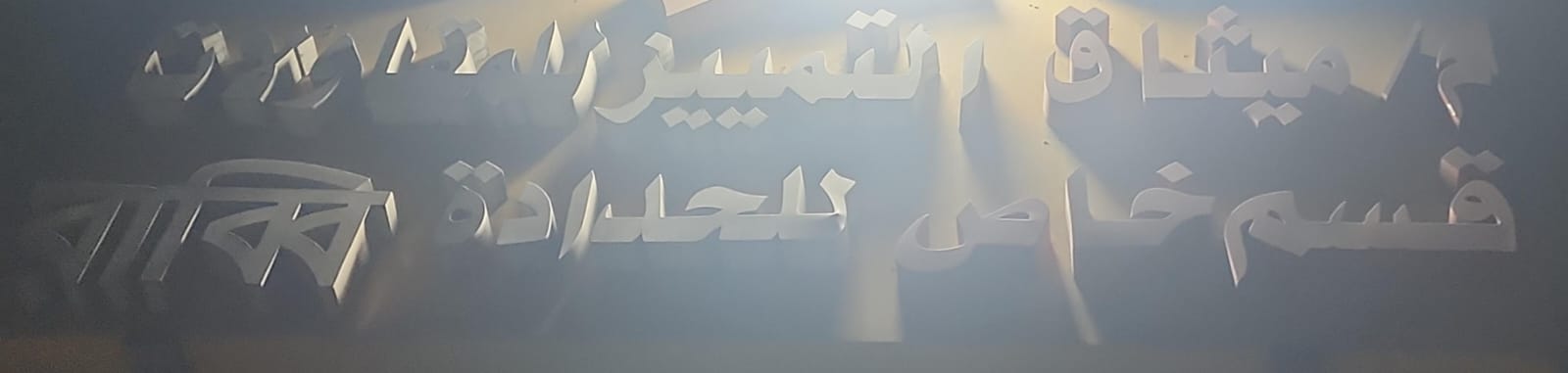 م/ميثاق التمييز للمقاولات