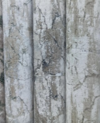 Carpet