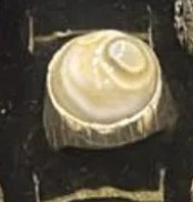 خاتم فضة
