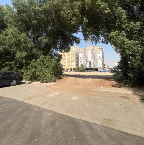 أرض للبيع في شارع أبو ثعلبه الثقفى, حي الصفا, مدينة جدة, منطقة مكة المكرمة
